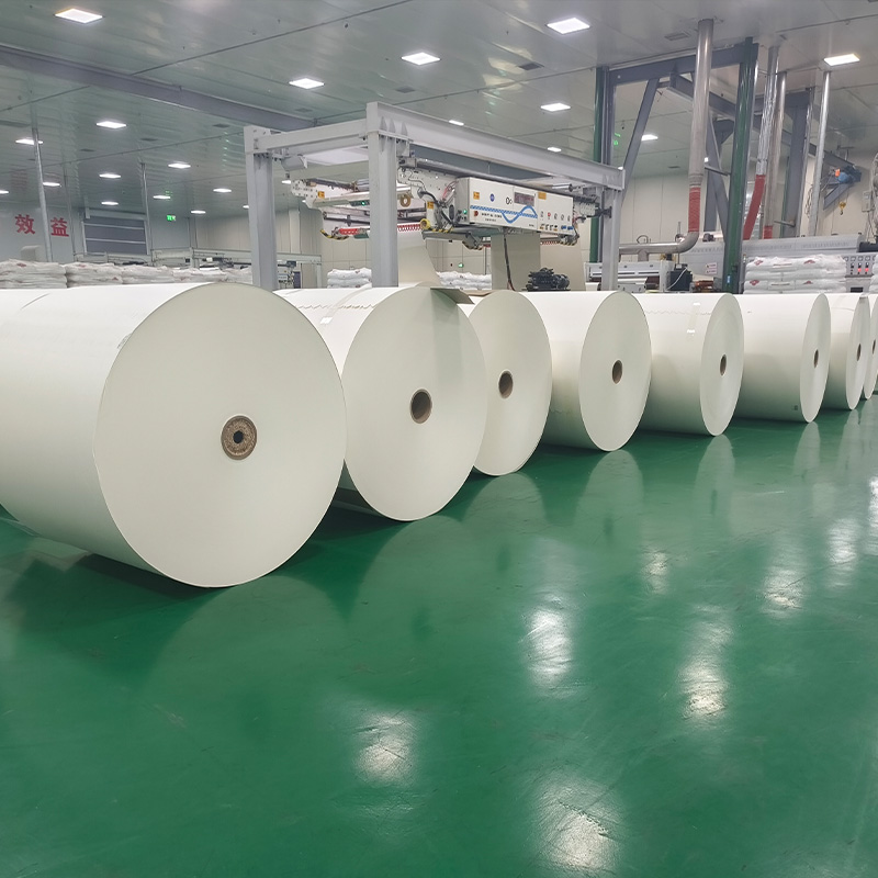 PE-beschichtete CupStock-Papierrollen